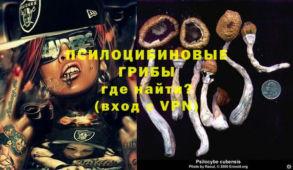 ешки Чита