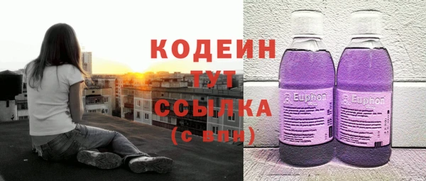СК Каменногорск