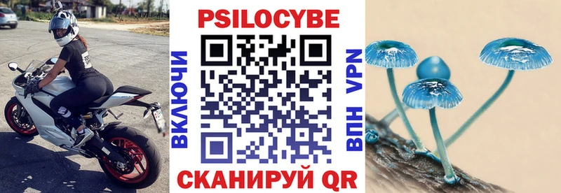 гидра сайт  Саки  Галлюциногенные грибы Psilocybe 